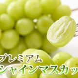 茨城県つくばみらい市のふるさと納税シャインマスカット