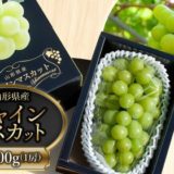 山形県鶴岡市のふるさと納税シャインマスカット（寄附金額7,000円）