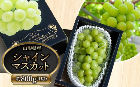 山形県鶴岡市のふるさと納税シャインマスカット（寄附金額7,000円）