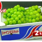 香川県坂出市のふるさと納税シャインマスカット（寄附金額18,000円）