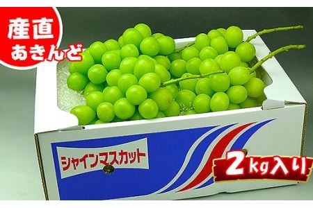香川県坂出市のふるさと納税シャインマスカット（寄附金額18,000円）