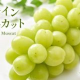 長野県千曲市のふるさと納税シャインマスカット（寄附金額37,000円）