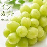 長野県千曲市のふるさと納税シャインマスカット（寄附金額57,000円）