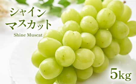 長野県千曲市のふるさと納税シャインマスカット（寄附金額57,000円）