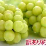 長野県坂城町のふるさと納税シャインマスカット（寄附金額11,000円）
