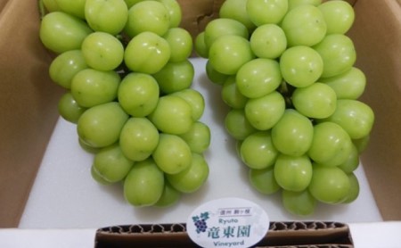 長野県駒ヶ根市のふるさと納税シャインマスカット（寄附金額40,000円）