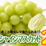 茨城県つくばみらい市のふるさと納税シャインマスカット（寄附金額20,000円）