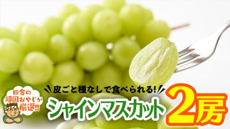 茨城県つくばみらい市のふるさと納税シャインマスカット（寄附金額20,000円）