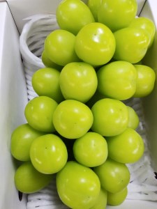 山形県上山市のふるさと納税シャインマスカット（寄附金額10,000円）