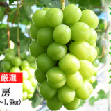 岩手県花巻市のふるさと納税シャインマスカット（寄附金額30,000円）