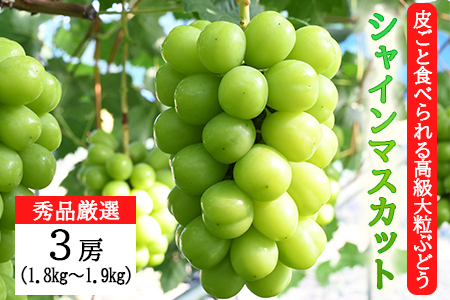 岩手県花巻市のふるさと納税シャインマスカット（寄附金額30,000円）