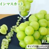 長野県坂城町のふるさと納税シャインマスカット（寄附金額11,000円）