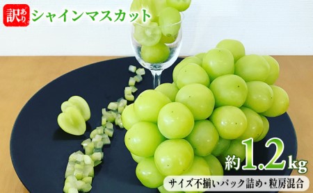 長野県坂城町のふるさと納税シャインマスカット（寄附金額11,000円）
