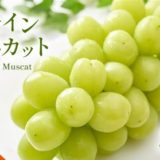 長野県千曲市のふるさと納税シャインマスカット（寄附金額27,000円）