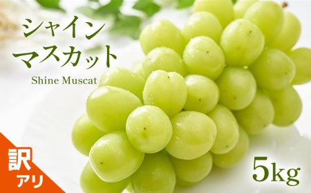 長野県千曲市のふるさと納税シャインマスカット（寄附金額40,000円）