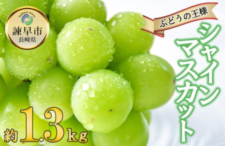 長崎県諫早市のふるさと納税シャインマスカット（寄附金額12,000円）