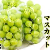 大分県豊後高田市のふるさと納税シャインマスカット（寄附金額18,000円）