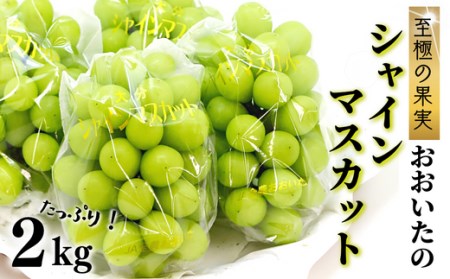 大分県豊後高田市のふるさと納税シャインマスカット（寄附金額18,000円）