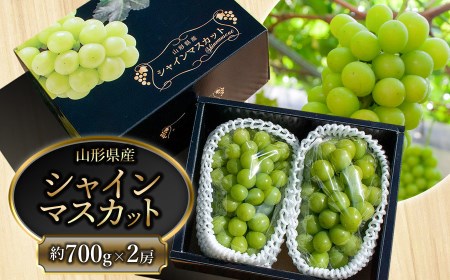 山形県鶴岡市のふるさと納税シャインマスカット（寄附金額10,000円）