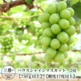 香川県三豊市のふるさと納税シャインマスカット（寄附金額45,000円）