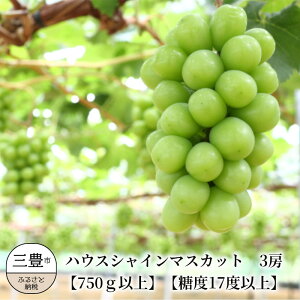 香川県三豊市のふるさと納税シャインマスカット（寄附金額67,000円）