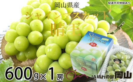 岡山県玉野市のふるさと納税シャインマスカット（寄附金額9,000円）