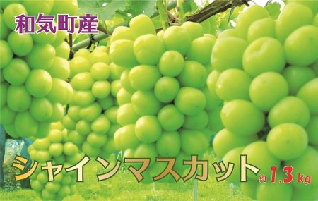 岡山県和気町のふるさと納税シャインマスカット（寄附金額13,000円）