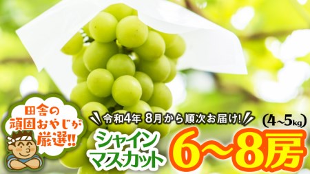 茨城県つくばみらい市のふるさと納税シャインマスカット（寄附金額90,000円）