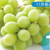 長野県中野市のふるさと納税シャインマスカット（寄附金額14,000円）