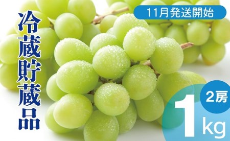 長野県中野市のふるさと納税シャインマスカット（寄附金額14,000円）