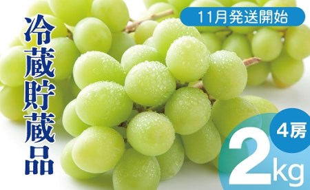 長野県中野市のふるさと納税シャインマスカット（寄附金額27,000円）