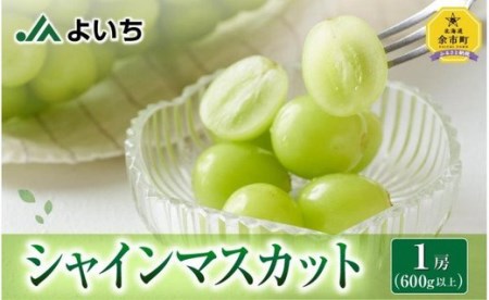 北海道余市町のふるさと納税シャインマスカット（寄附金額15,000円）