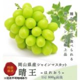 岡山県瀬戸内市のふるさと納税シャインマスカット（寄附金額27,000円）
