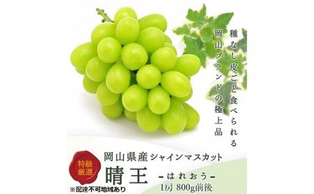 岡山県瀬戸内市のふるさと納税シャインマスカット（寄附金額27,000円）