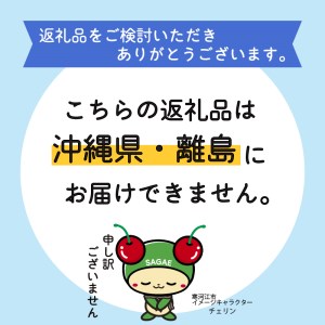 山形県寒河江市のふるさと納税シャインマスカット