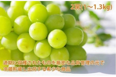 長野県中野市のふるさと納税シャインマスカット（寄附金額20,000円）