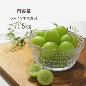 長野県千曲市のふるさと納税シャインマスカット（寄附金額14,000円）