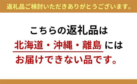 岡山県高梁市のふるさと納税シャインマスカット（寄附金額20,000円）
