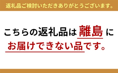 岡山県玉野市のふるさと納税シャインマスカット（寄附金額16,000円）