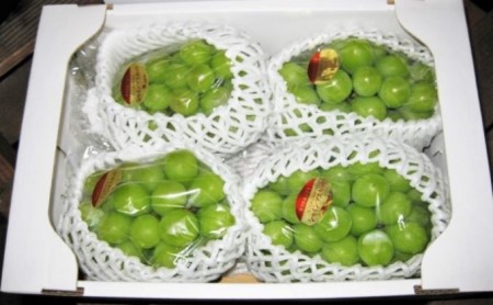 香川県のふるさと納税シャインマスカット