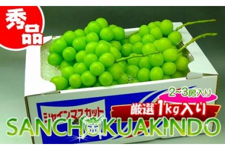 香川県のふるさと納税シャインマスカット