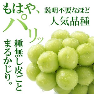 山形県寒河江市のふるさと納税シャインマスカット