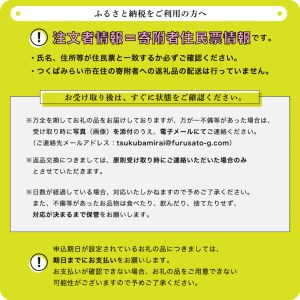 茨城県つくばみらい市のふるさと納税シャインマスカット