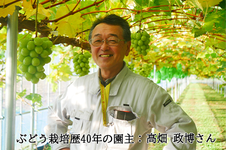 岩手県花巻市のふるさと納税シャインマスカット（寄附金額30,000円）