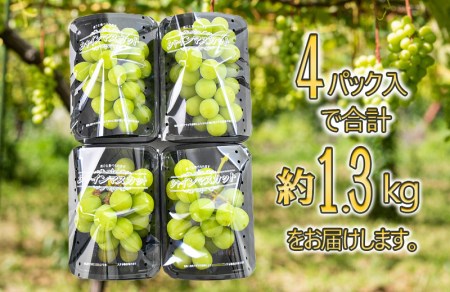 長崎県諫早市のふるさと納税シャインマスカット（寄附金額12,000円）