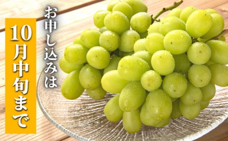 大分県豊後高田市のふるさと納税シャインマスカット（寄附金額18,000円）