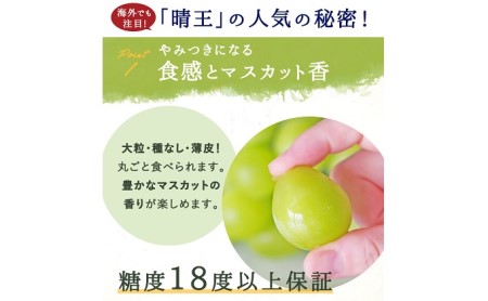 岡山県瀬戸内市のふるさと納税シャインマスカット（寄附金額27,000円）
