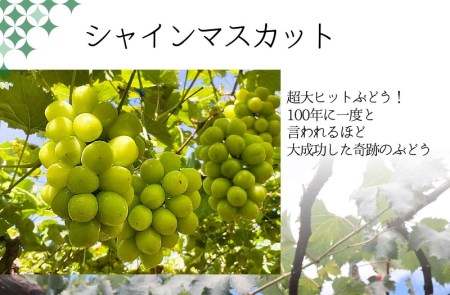 山梨県のふるさと納税シャインマスカット