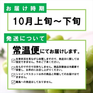 山形県寒河江市のふるさと納税シャインマスカット