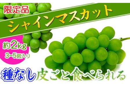 香川県坂出市のふるさと納税シャインマスカット（寄附金額18,000円）
